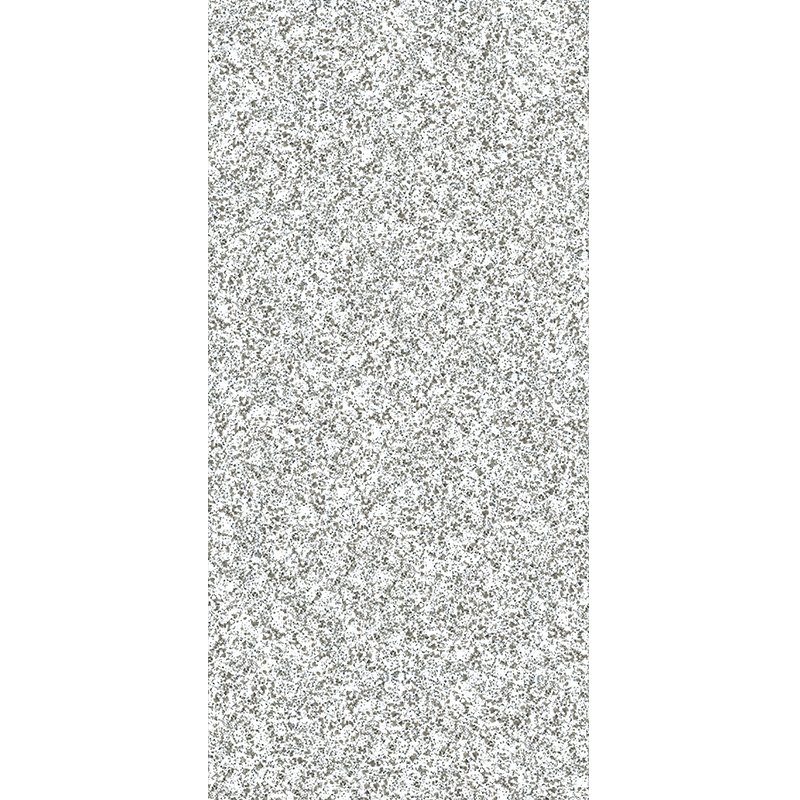 MD62P42